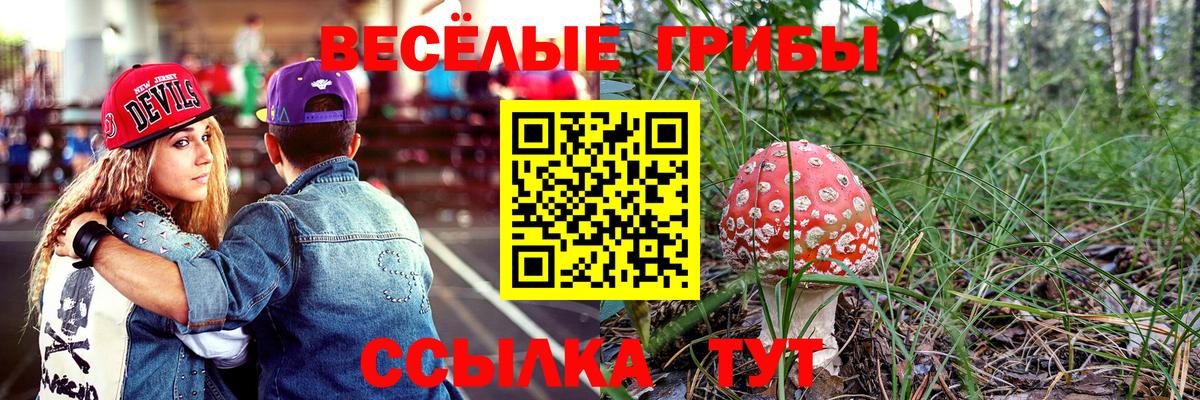 Псилоцибиновые грибы Magic Shrooms Надым